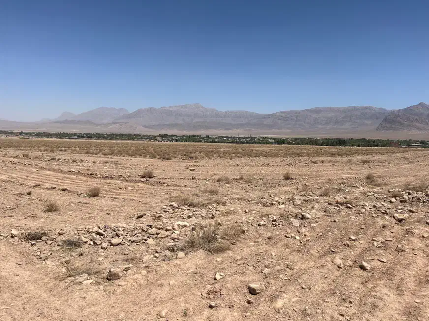 استخدام نیروی خانم آشپزی و خدمات دفتری|استخدام سرایداری و نظافت|ماهان, |دیوار