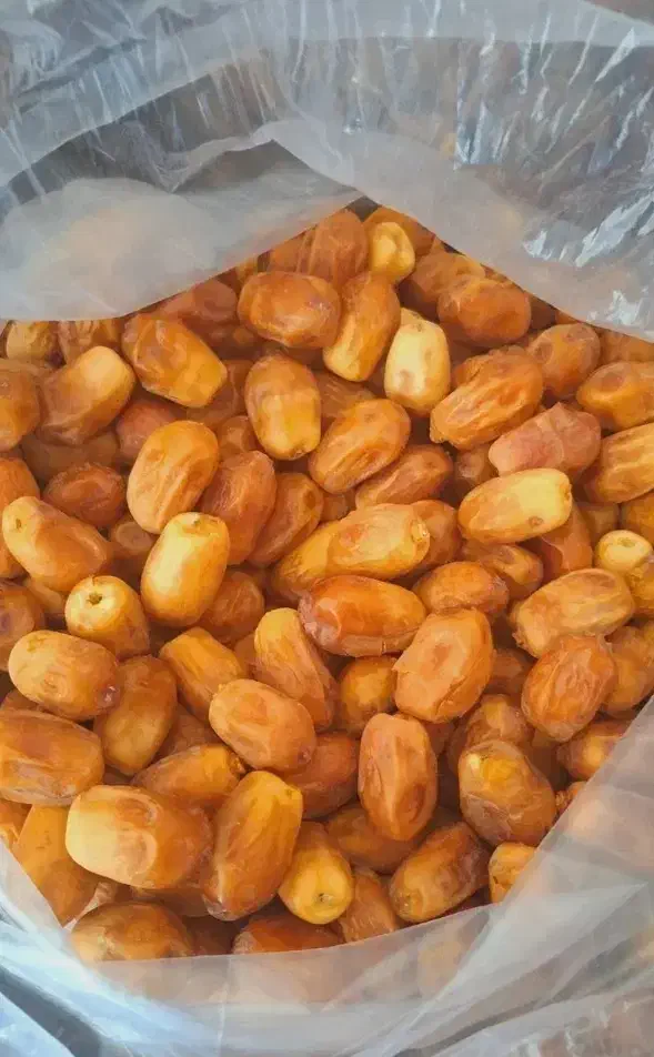 خرما زاهدی|خوردنی و آشامیدنی|اصفهان, شاه پسند|دیوار
