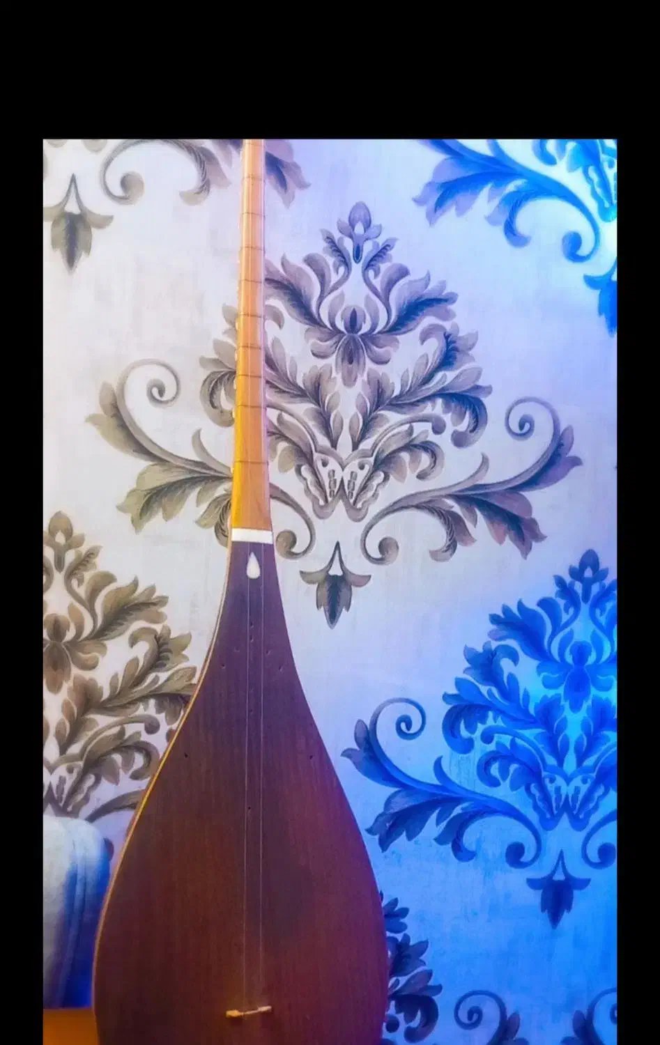 دوتار خوش صدا|سازهای سنتی|بجنورد, |دیوار