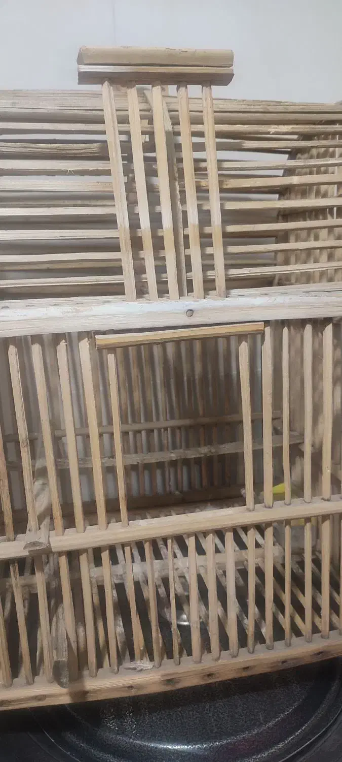 قفس پرنده حصیری|لوازم جانبی حیوانات|قم, باجک یک|دیوار