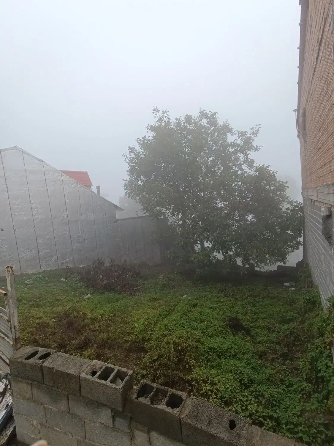 ۱۸۶متر زمین مسکونی با پروانه و سند(آلاشت کارمزد)|فروش زمین و ملک کلنگی|آلاشت, |دیوار