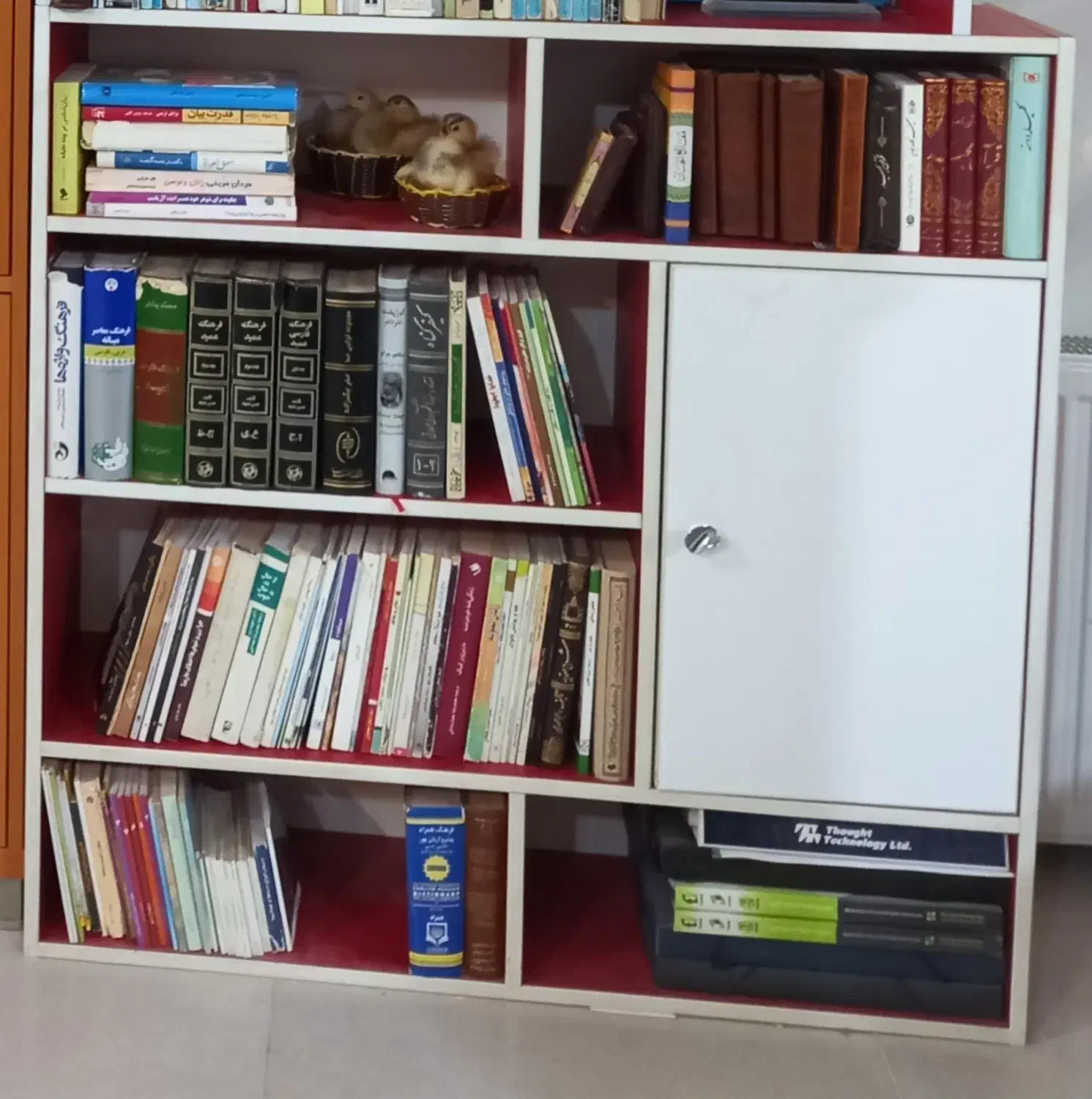 جا کتابی دیواری|کتابخانه، شلف، قفسه‌های دیواری|قم, دورشهر|دیوار
