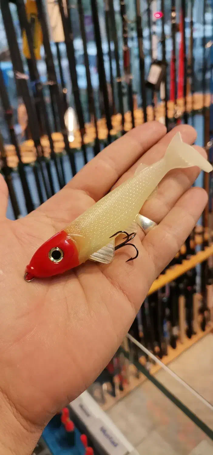 ماهی ژله ای|ماهیگیری|مشهد, آزادشهر|دیوار