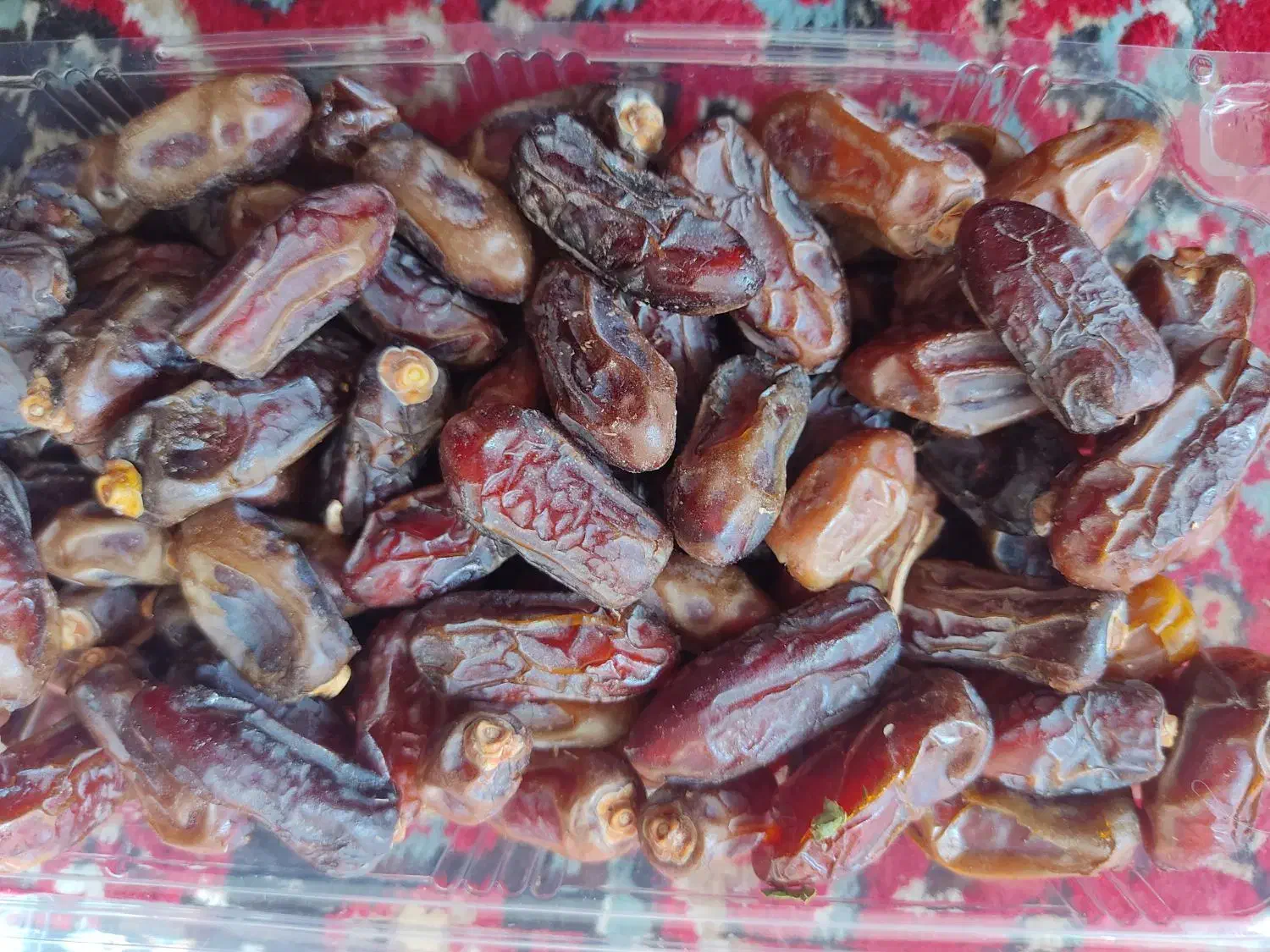 خرما پیارم جم|حراج|شیراز, دارالرحمه|دیوار