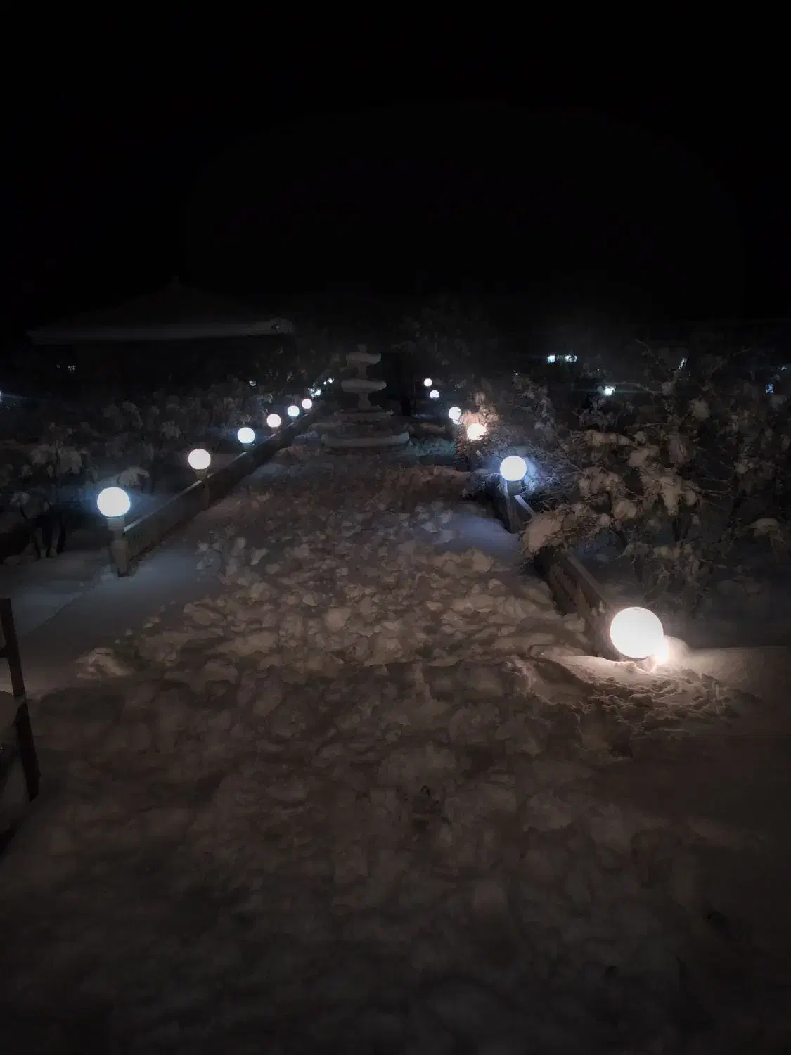 اجاره باغ نارین|اجارهٔ کوتاه‌مدت ویلا و باغ|شاهین‌شهر, برخوار غرب|دیوار