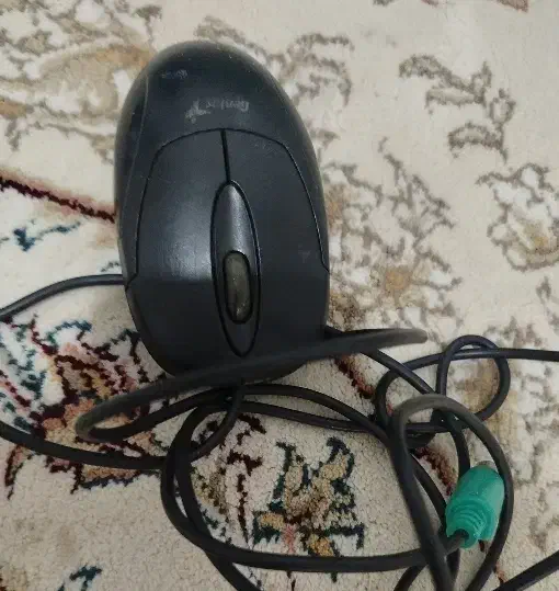 موس|قطعات و لوازم جانبی رایانه|زنجان, |دیوار