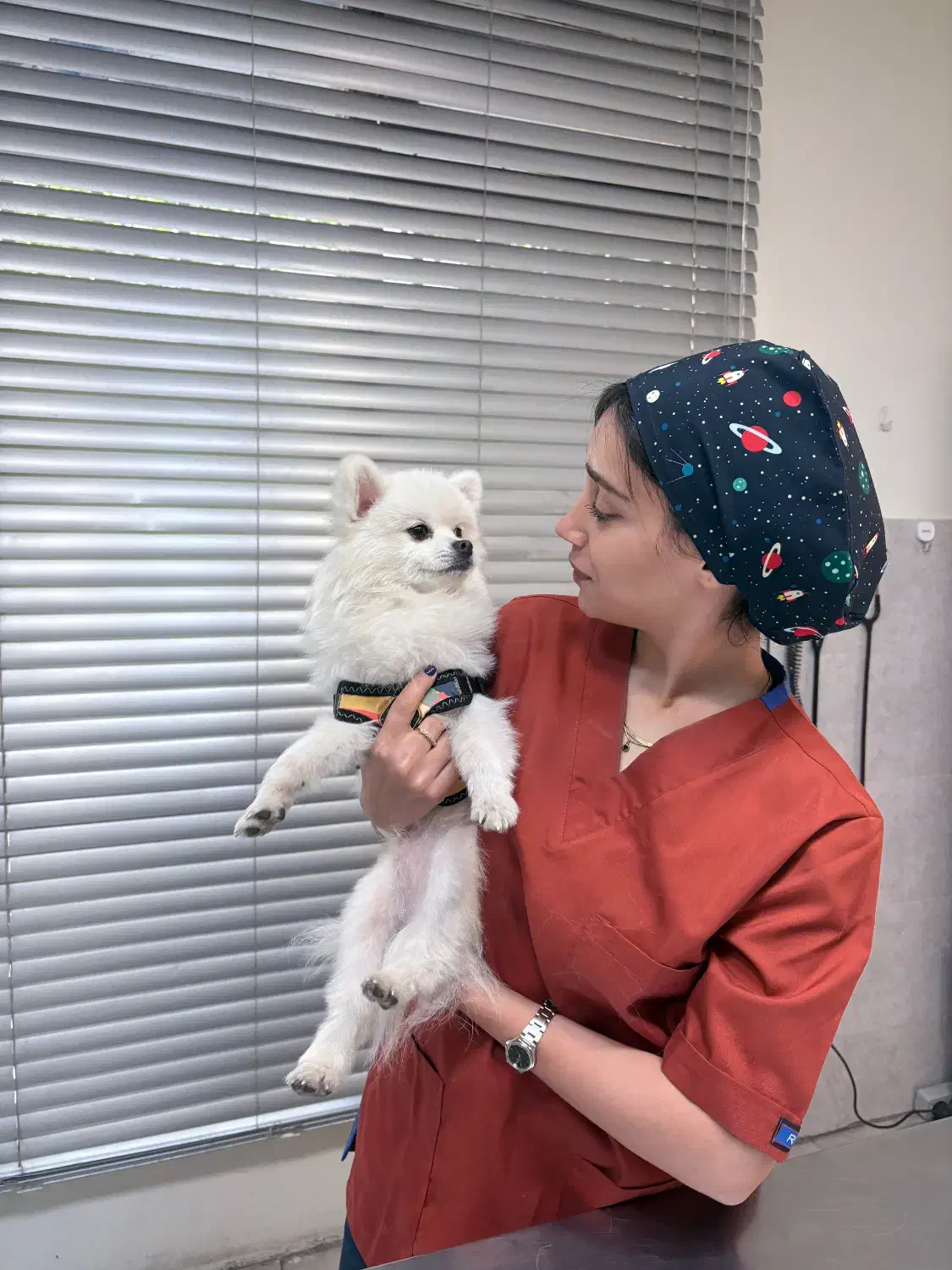 مربی سگ/آموزش سگ /اصلاح رفتار /تک جلسه و دوره کامل|خدمات آموزشی|تهران, پونک|دیوار