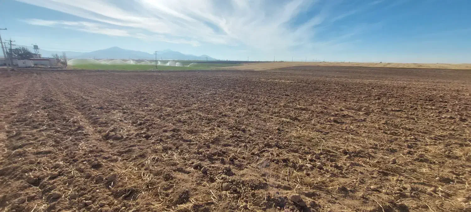 اجاره ۶ هکتار زمین مرغوب جا سیب وگندم|اجارهٔ دفتر صنعتی، کشاورزی، تجاری|قروه, |دیوار