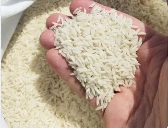 برنج طارم هاشمی درجه ۱ شمال|خوردنی و آشامیدنی|کرج, فاز ۵ مهرشهر|دیوار