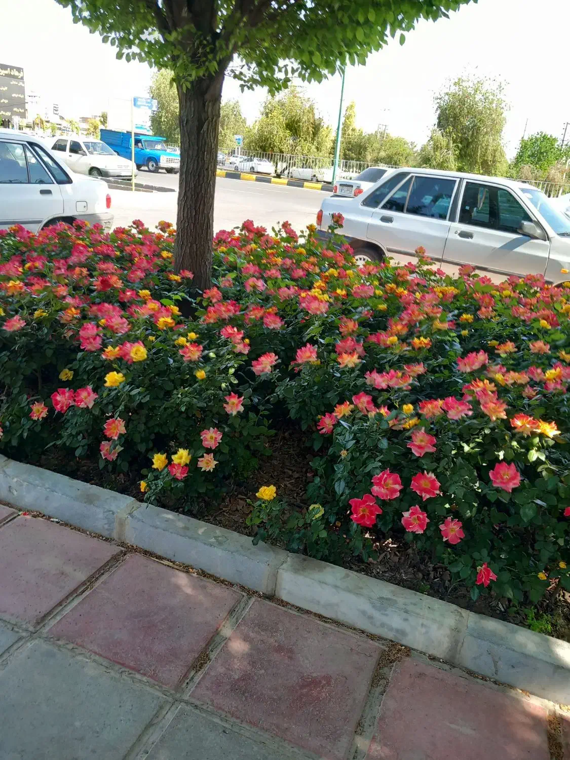 اجاره خانه ویلایی ۷۰ متری ۱ خوابه در هفت تیر|اجارهٔ خانه و ویلا|قم, هفت تیر|دیوار