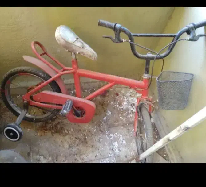 دوچرخه درحدنو|دوچرخه، اسکیت، اسکوتر|پرند, فاز ۶|دیوار