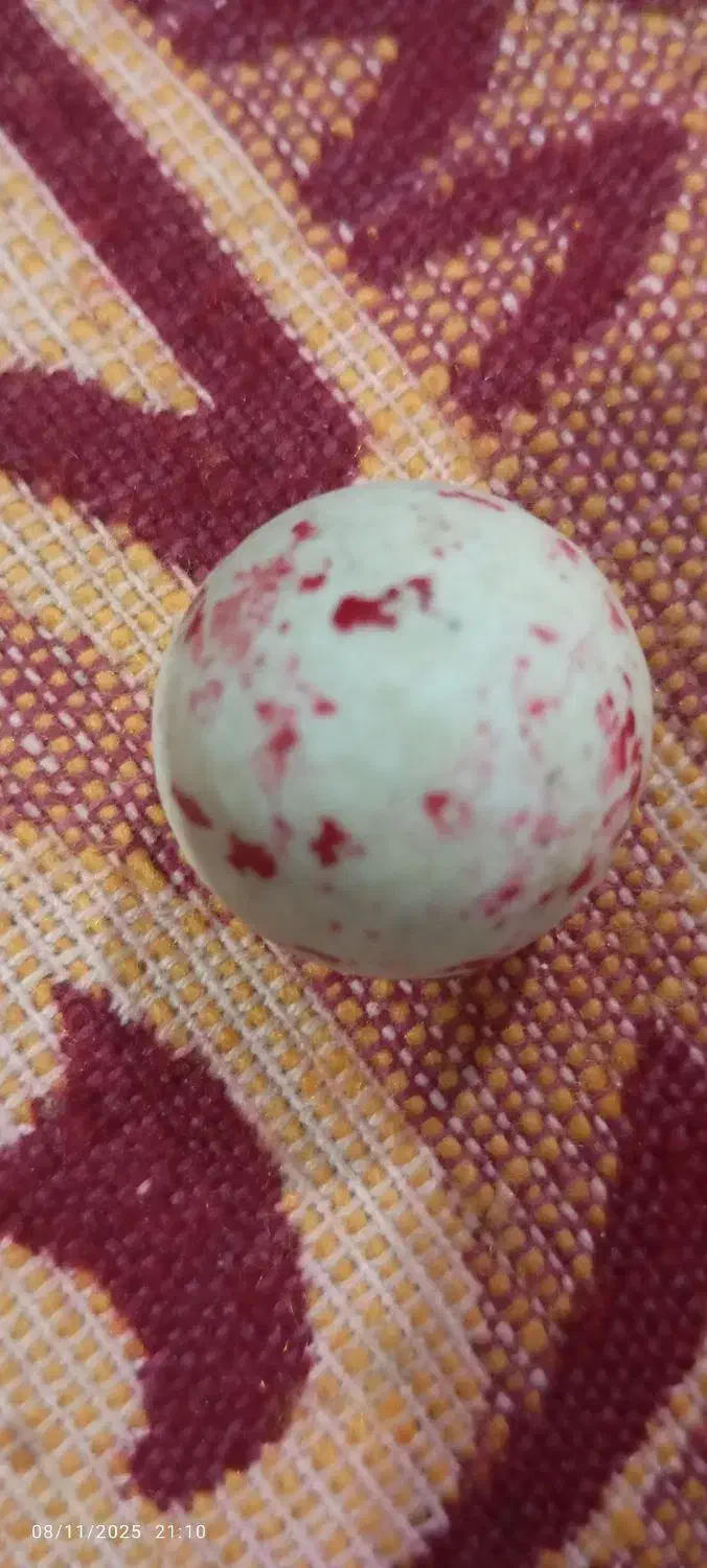 سنگ اسیاب|کلکسیون اشیاء عتیقه|اسماعیلی, |دیوار