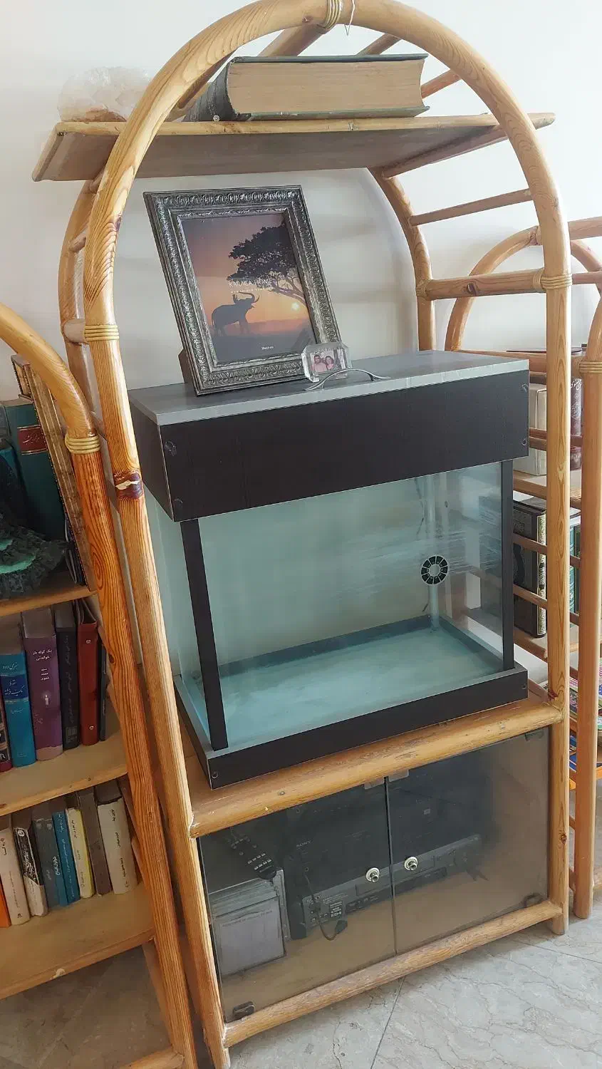 اکواریوم|ماهی|تهران, ورزشگاه آزادی|دیوار