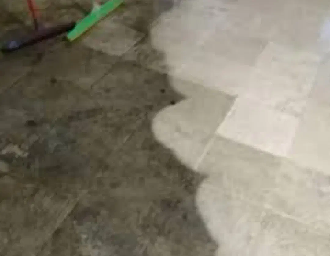 کفسابی|خدمات نظافت|تهران, جنت‌آباد شمالی|دیوار