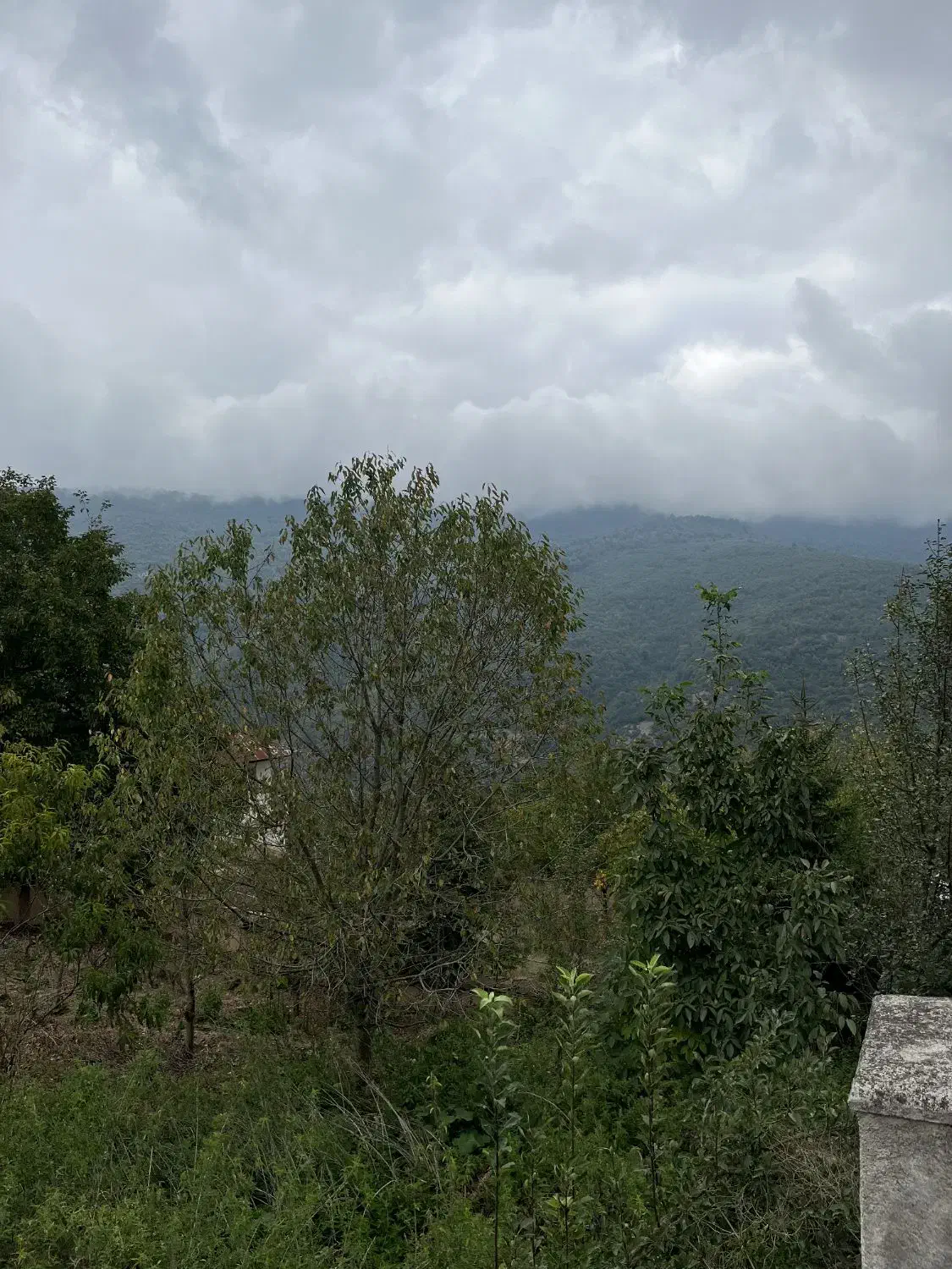 فروش زمین در روستای ولیکبن منطقه دودانگه|فروش زمین و ملک کلنگی|فریم, |دیوار