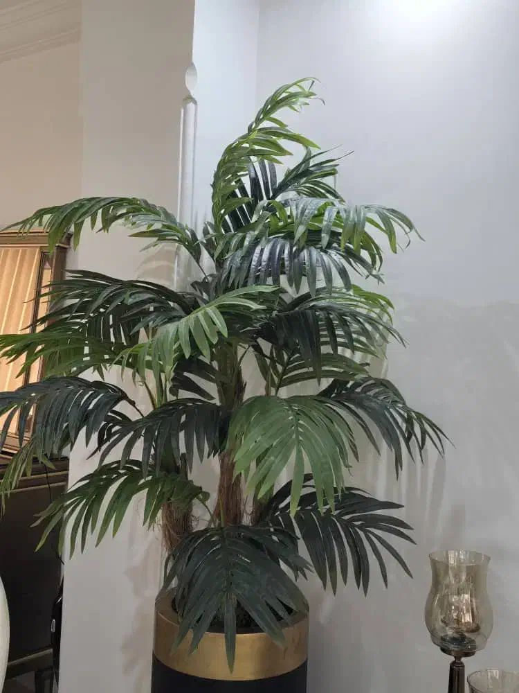 درختچه مصنوعی کنتیا سه تنه به همراه گلدان وارداتی|گل مصنوعی|بابل, |دیوار