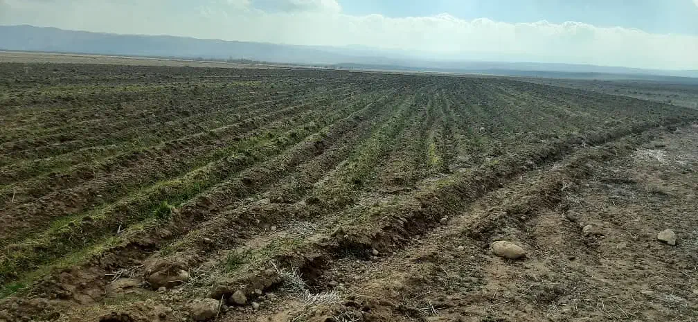 ۶۰ هکتار سنددار با آب قناعت ۲۴ ساعته|فروش زمین و ملک کلنگی|تهران, حبیب الله|دیوار