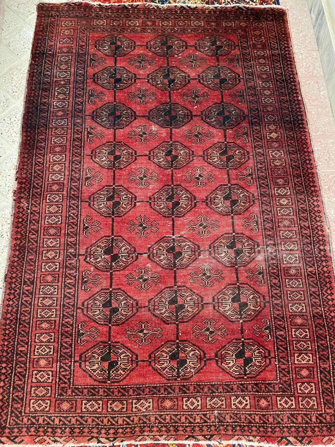 قالی دستباف ترکمن|فرش|مشهد, سلام|دیوار