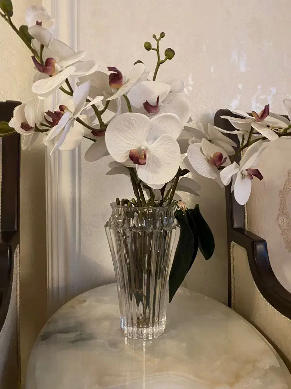 جا گلدونی|گل و گیاه طبیعی|تهران, شهرک غرب|دیوار