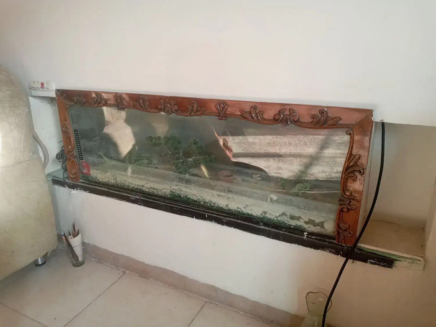 حراج وسایل خانه|ماهی|محمدشهر, شهرک پیام (مهرالبرز)|دیوار