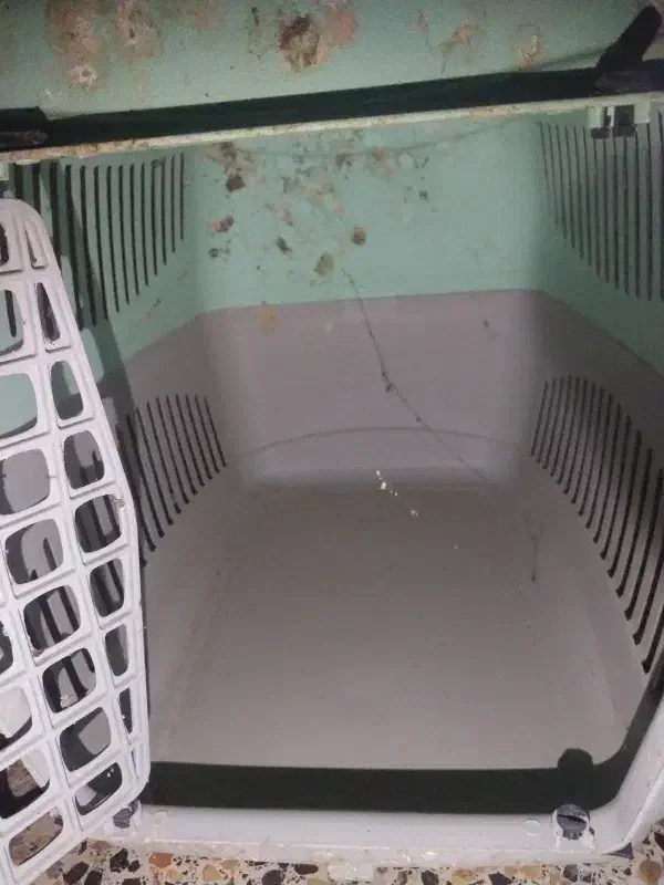 باکس سگ|لوازم جانبی حیوانات|کرج, شهرک بهارستان|دیوار