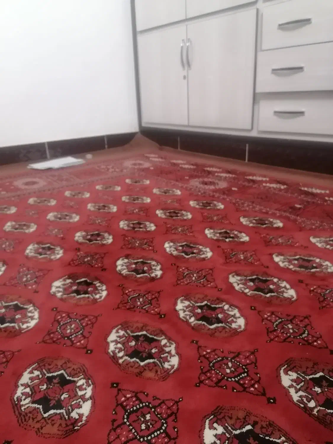 قالی تمیز|فرش|گنبد کاووس, |دیوار