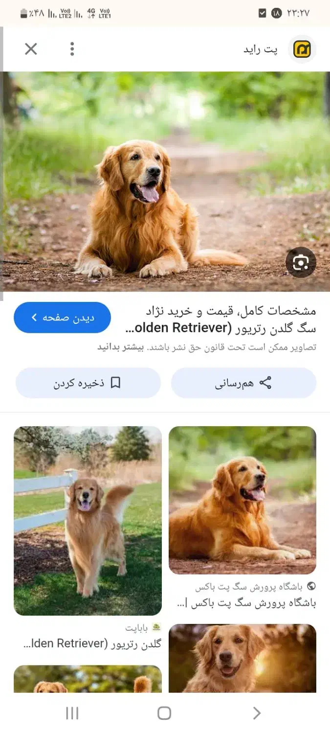 توله ۳ ماه|سگ|اهواز, امانیه|دیوار