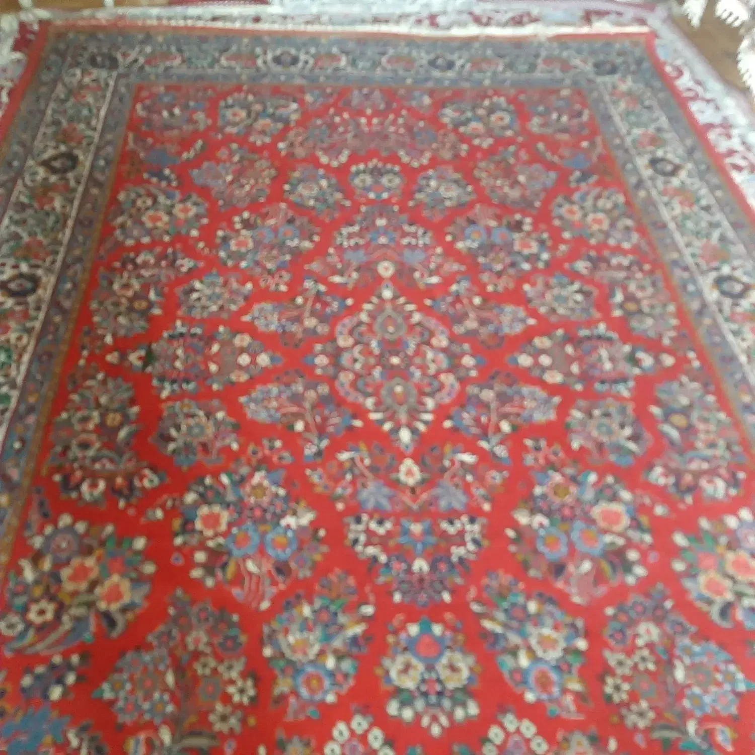 فرش دستبافت ساروق اراک|فرش|تهران, نیلوفر|دیوار