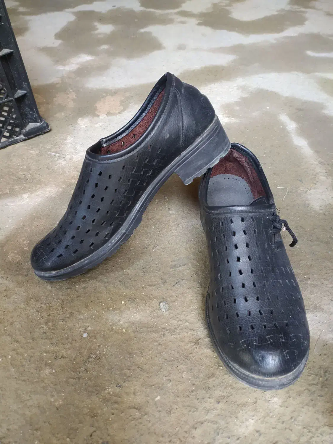 کفش زنانه تابستانی|کیف، کفش، کمربند|سلماس, |دیوار