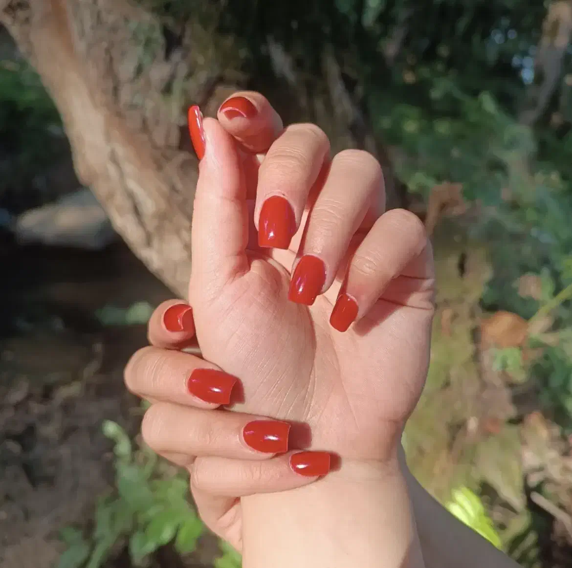 کاشت ناخن|خدمات آرایشگری و زیبایی|اقبالیه, |دیوار