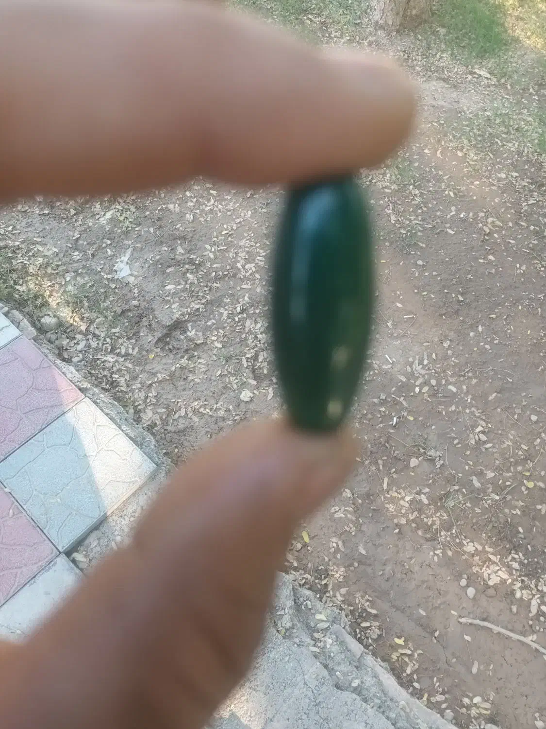 مهره|کلکسیون اشیاء عتیقه|اندیمشک, |دیوار