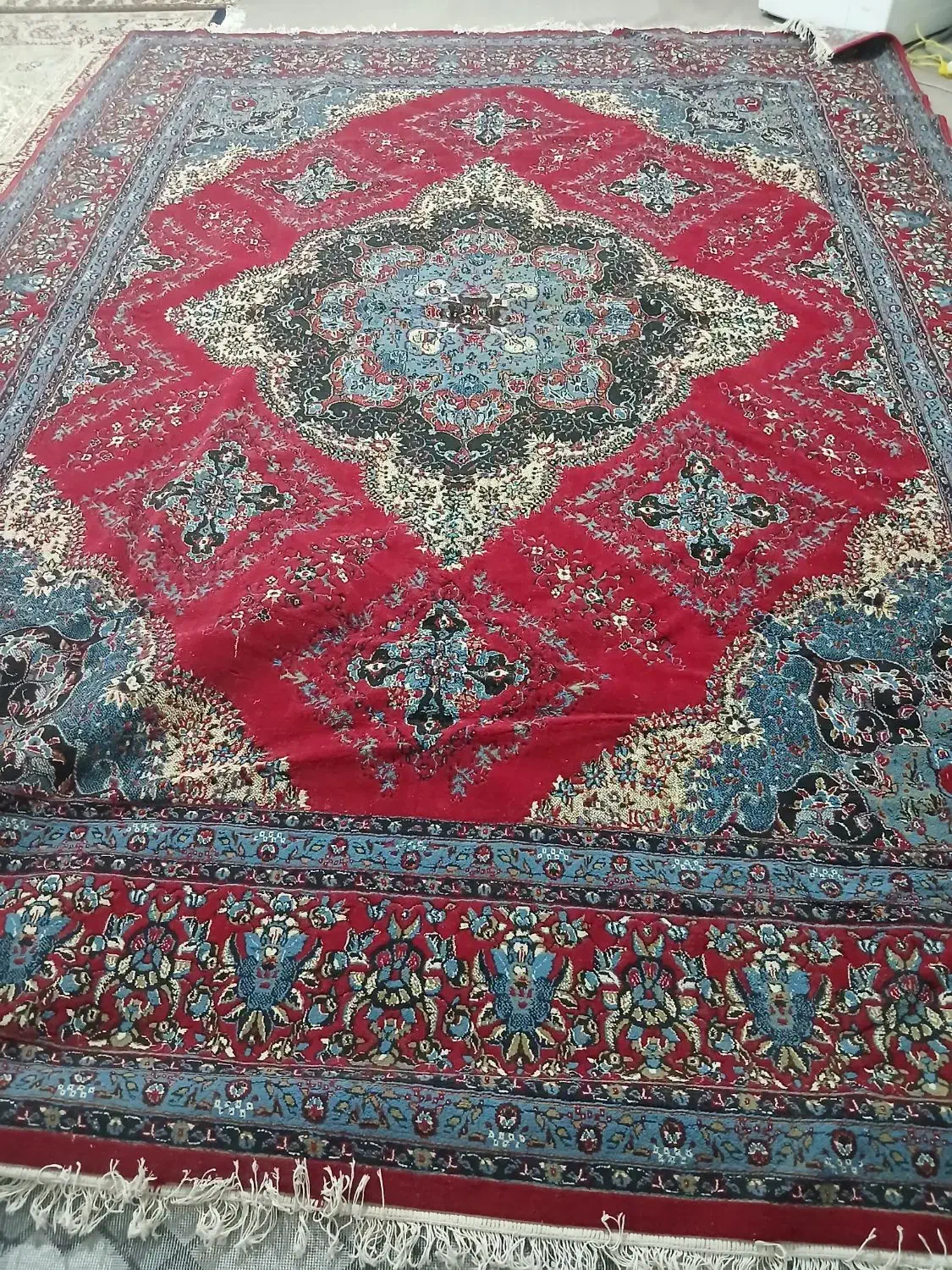 فرش دوازده متری|فرش|تربت‌حیدریه, رضاشهر|دیوار