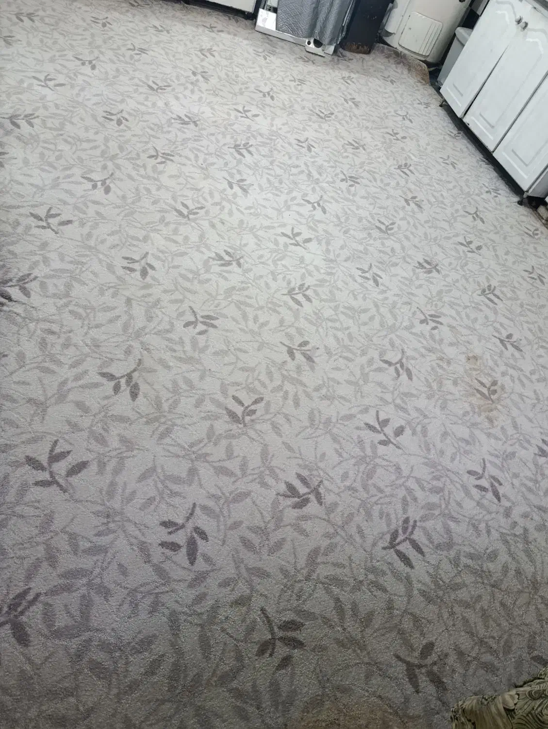 پالاز موکت در 15متر|موکت|دورود, |دیوار