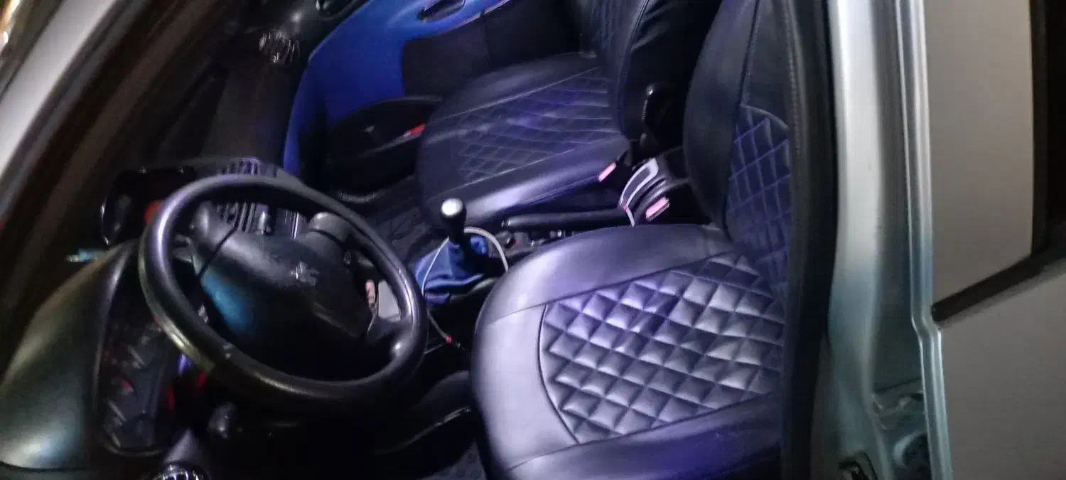 206 نقره ای|خودرو سواری و وانت|رشت, کاکتوس|دیوار