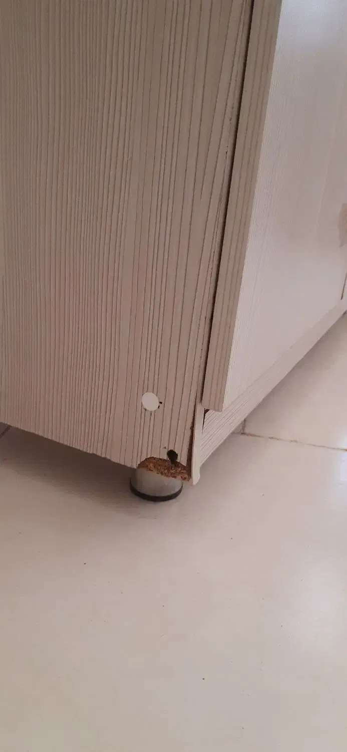 کتابخانه|کتابخانه، شلف، قفسه‌های دیواری|پاکدشت, شهرک امام رضا|دیوار