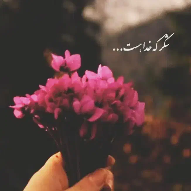 ختم قرآن|خدمات پذیرایی، مراسم|الیگودرز, |دیوار