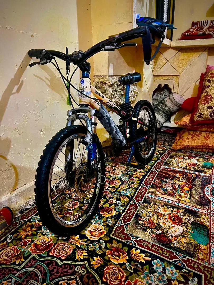 فروش فوری دوچرخه 20الپیا همراه با وسایل|دوچرخه، اسکیت، اسکوتر|بندرعباس, |دیوار