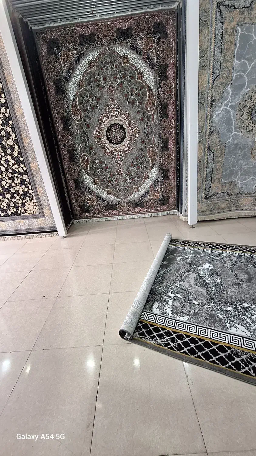 فرش کلکسیونی|فرش|گرگان, |دیوار