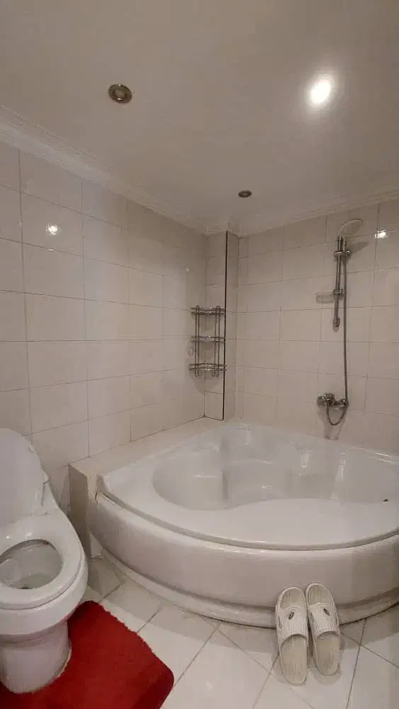 ونک شیراز شمالی|فروش آپارتمان|تهران, ونک|دیوار