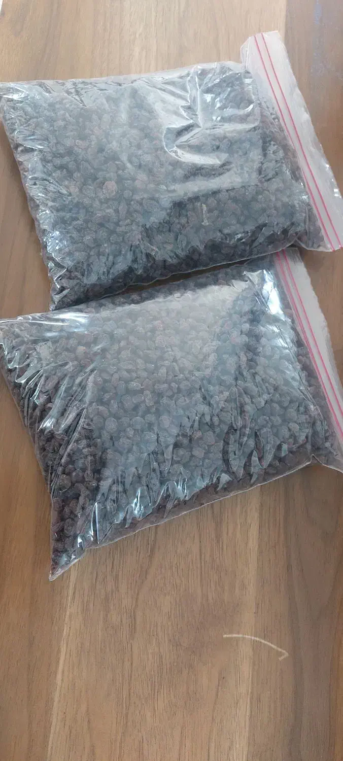 کشمش آفتابی|خوردنی و آشامیدنی|قم, شهدا|دیوار