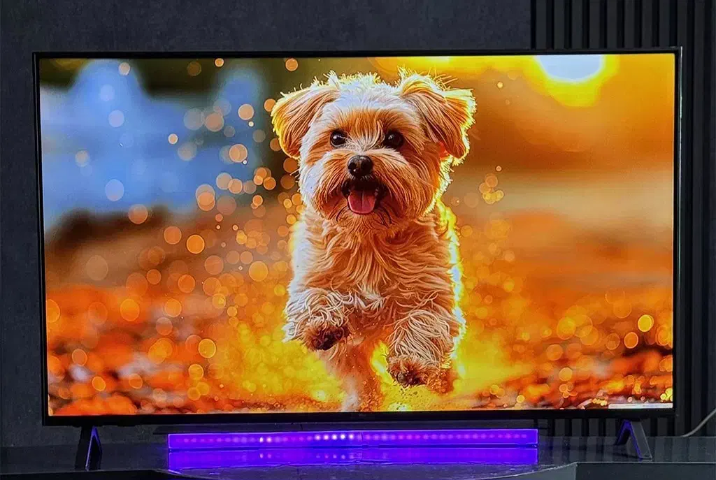 تلویزیون ۲۰۲۵ الجی سری ۸ اقتصادی با پردازنده قوی|تلویزیون و پروژکتور|بانه, |دیوار