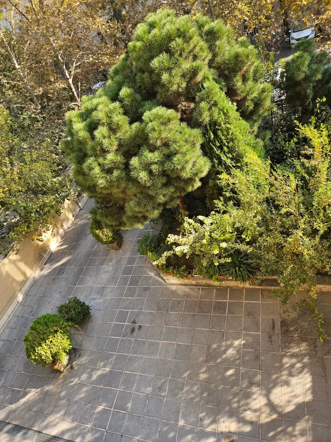 ۱۱۵ متر لوکیشن دنج و پر انرزی در ونک توانیر|اجارهٔ آپارتمان|تهران, ونک|دیوار