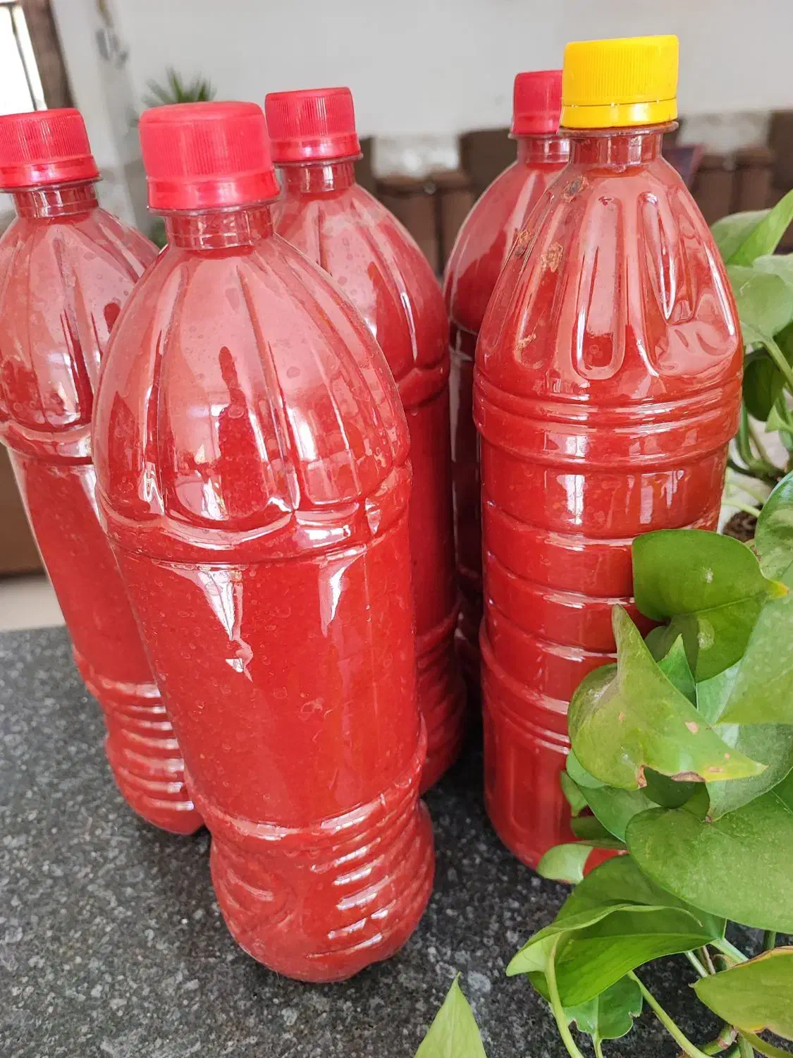 رب گوجه فرنگی خانگی کیفیت عالی|خوردنی و آشامیدنی|صحنه, |دیوار