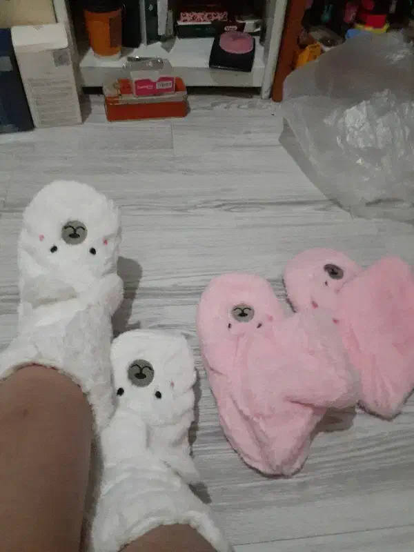 پاپوش|فعالیت داوطلبانه تحقیقاتی|سبزوار, قائم|دیوار