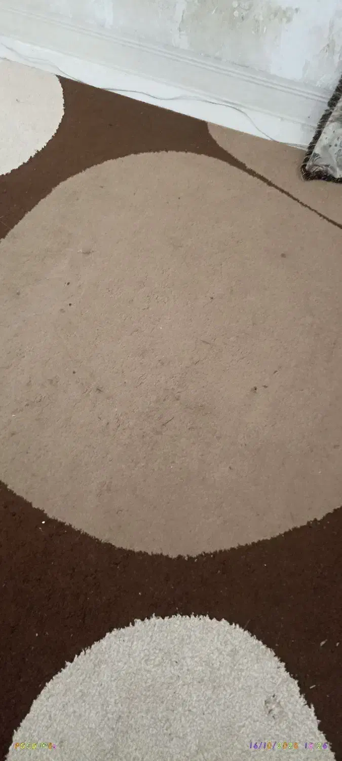 قالی 9متری|فرش|بوشهر, |دیوار