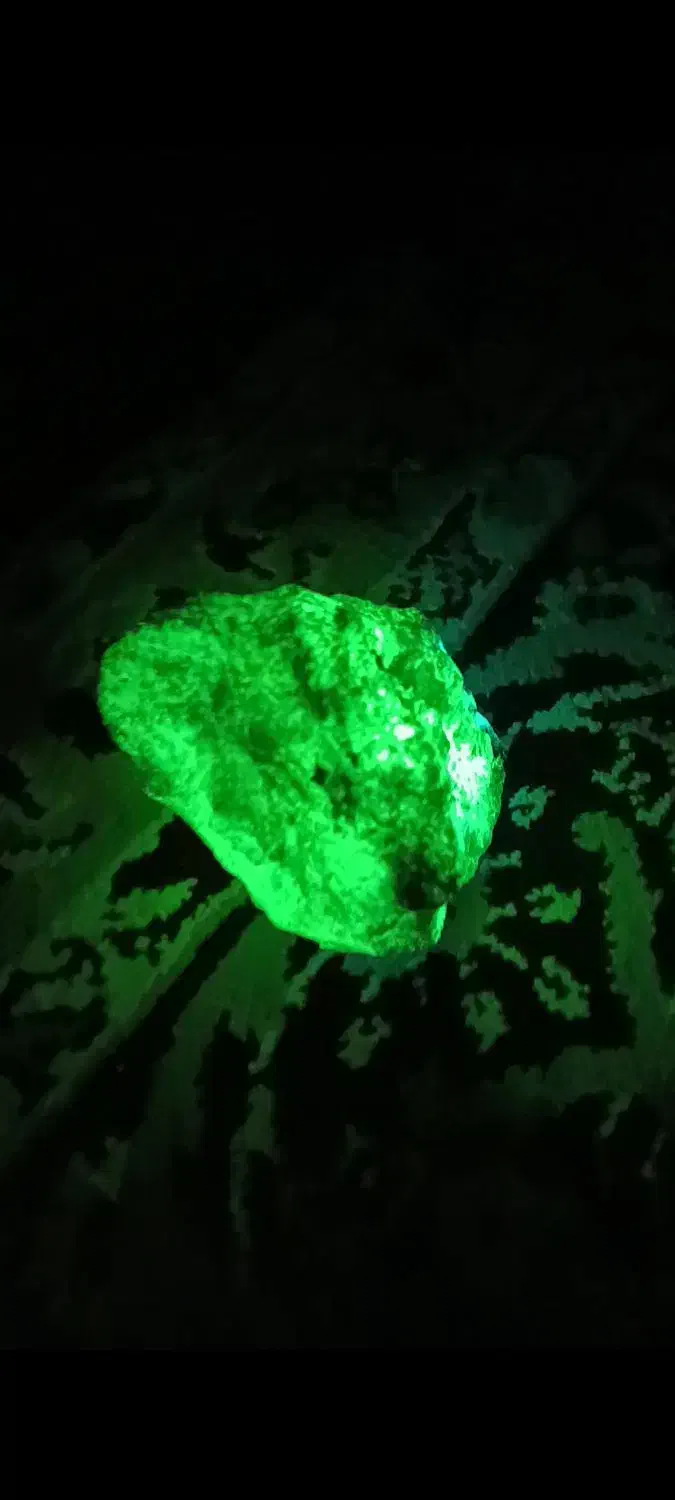 گوهر شب چراغ|جواهرات|یزد, |دیوار