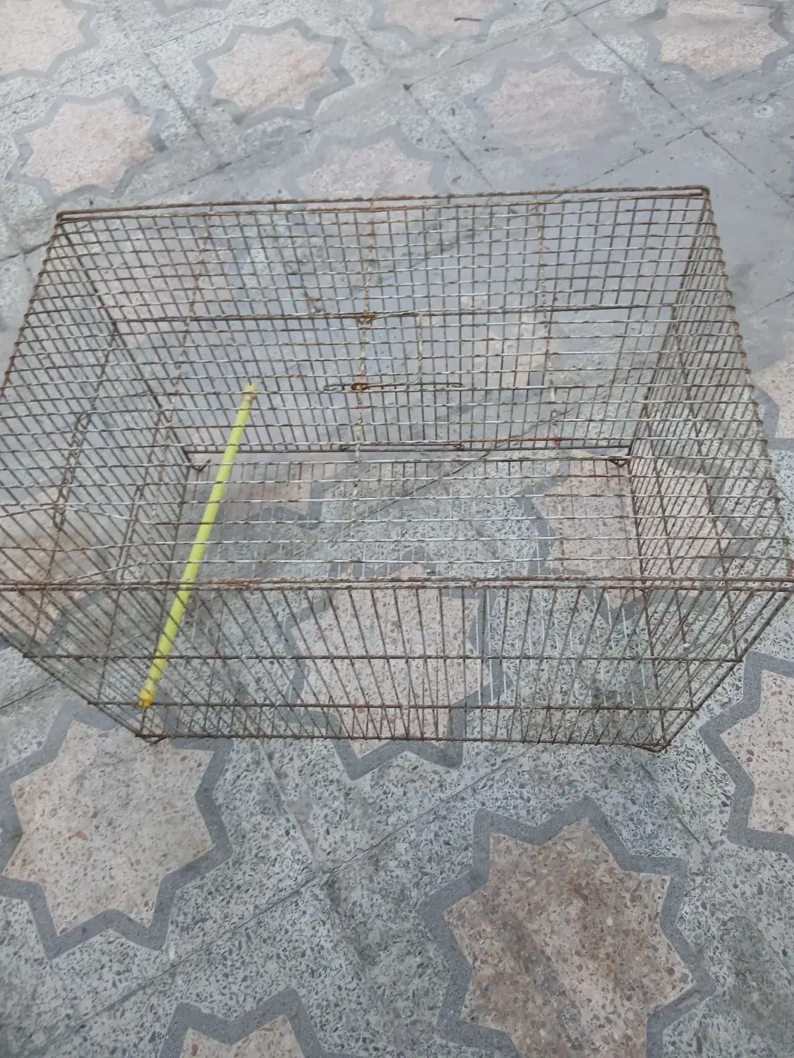 قفس 52 و لانه فنچ|لوازم جانبی حیوانات|شیراز, لشکری‎|دیوار