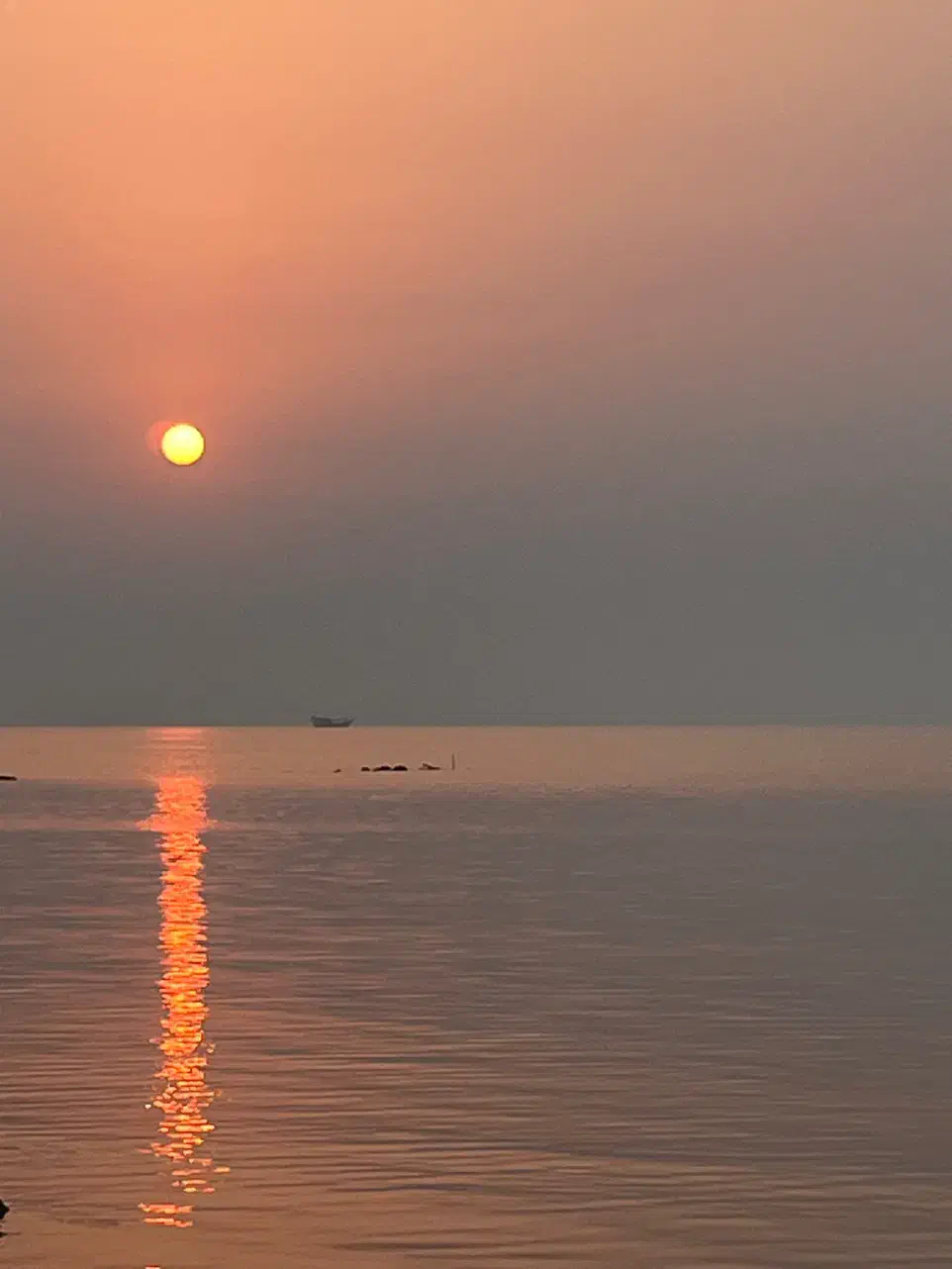 کارگر|استخدام معماری، عمران و ساختمانی|بندرعباس, |دیوار