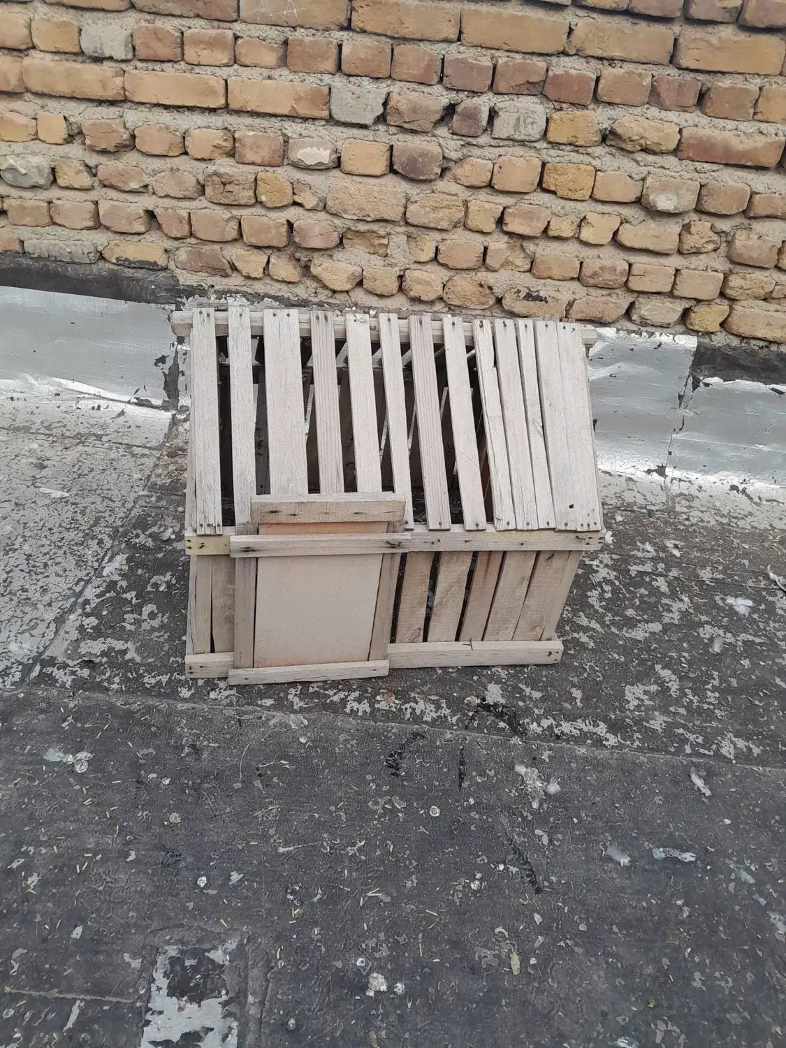 جفتکن کبوتر|لوازم جانبی حیوانات|ارومیه, |دیوار