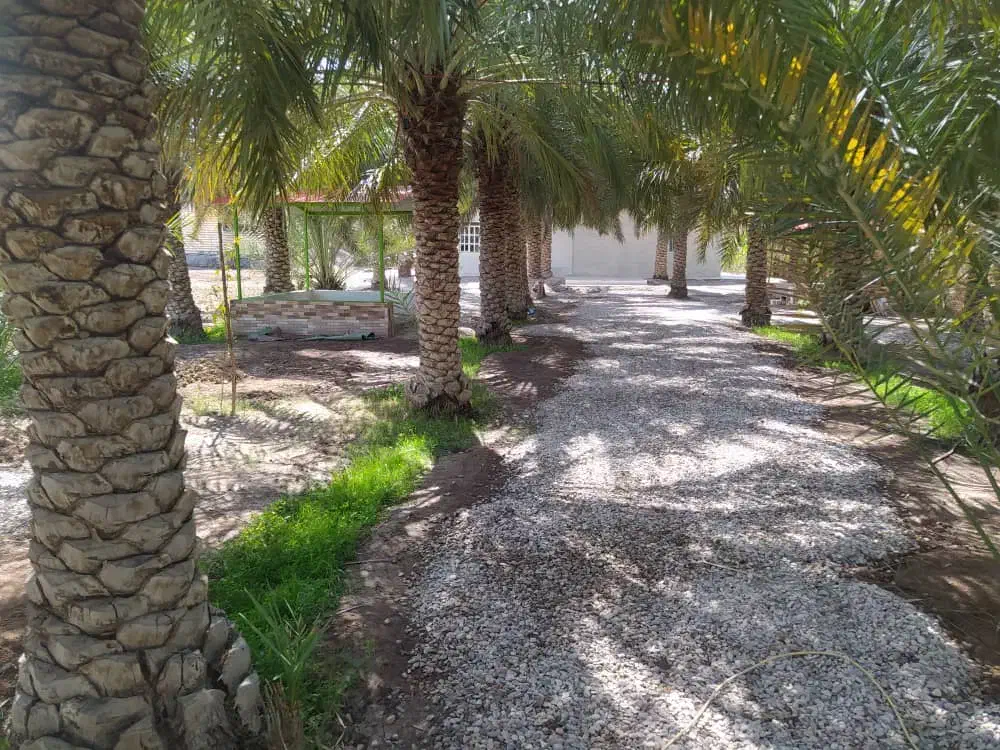 اقامتگاه تفریحی و دلباز همراه با سوئیت|اجارهٔ کوتاهمدت ویلا و باغ|آبادان, |دیوار